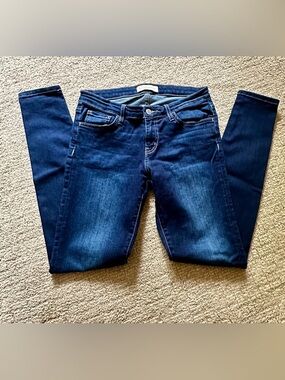 Flying Monkey Indigo Skinny Jeans